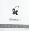Click for 1 image(s) for this accession. FRUIT